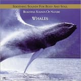 Whales