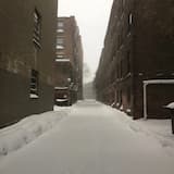 I Slept Through the Snow