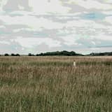 The Faithful Plough (version 2, backing track - 08.12.21)