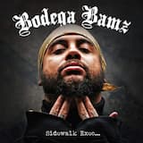 Down These Mean Streets