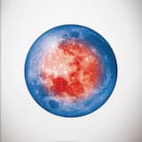 たましいのうた