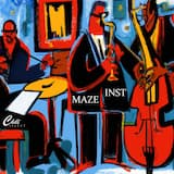 Maze Inst