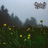 As Autumn Turns to Spring