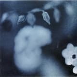 Duk Koo Kim (acoustic)