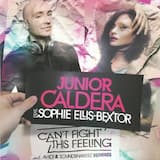 Can’t Fight this Feeling (album version)