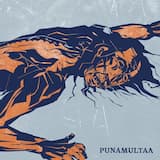 Punamultaa