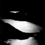 My Name From the Forest