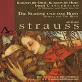 Konzert für Oboe und kleines Orchester: I. Allegro moderato