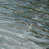 Embryo (Subp Yao remix)