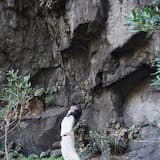 なにもないせかい