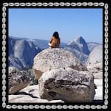 Tioga Pass (feat. Rocco Palladino)