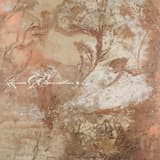 Language Couldn't Say