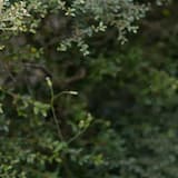 the day the bombs fell