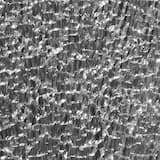 Sparkles Into the Light of Night