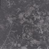 Spoiled Fruits of the Kingdom