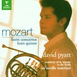 Concerto for Horn no. 1 in D major, K. 386b/514: I. Allegro