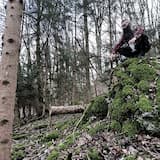 D'amer au corbeau hardi de travers