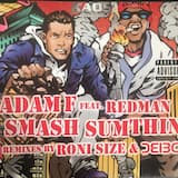 Smash Sumthin (remix by Roni Size: clean radio edit)