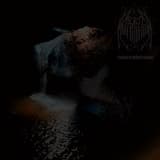 Hair, Wet Soil, Metallic Taste