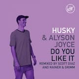 Do You Like It (Rainer + Grimm edit)