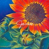 The First Glimmer of Wind