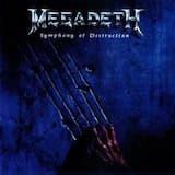 Symphony of Destruction (radio mix)