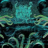 Rise Of The Squid King