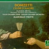 L'elisir d'amore: Preludio