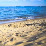 Calm Down with Motion 60sec