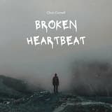 Broken Heartbeat
