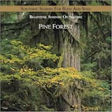 Pine Forest