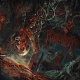 Necrophilic Reception