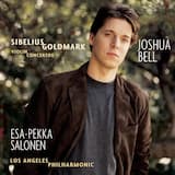 Violin Concerto in D minor, op. 47: I. Allegro moderato