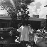 nike cortez - in my room