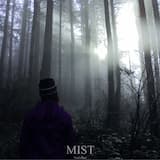 Mist