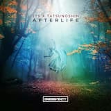 Afterlife (extended mix)