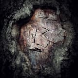 Ñört Dotnă Bàŝeca