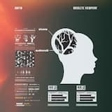 Looking At The Window