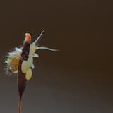 If You Don't Leave, We Will Kill You