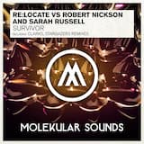 Survivor (radio edit)