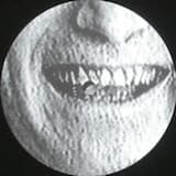 Cicadas and Hurdy-Gurdies