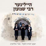 הייליגער רבי שמעון