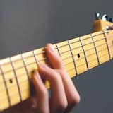 Bitch Lasagna (But Every 4 Bars the Genre Changes)