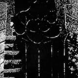 Crown Drenched in Filth