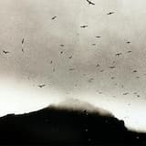 I Didn't Try Hard Enough