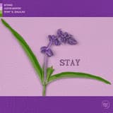 Stay