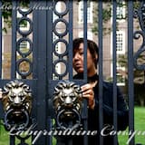 The Labyrinthine Conspiracy