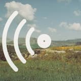 A Whole Wide World Ahead