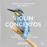 Violin Concerto in D, op. 61: I. Allegro ma non troppo