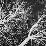 On the Edge of Shadows II